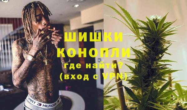 прущие грибы Бородино