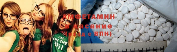 прущие грибы Бородино