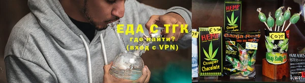 прущие грибы Бородино