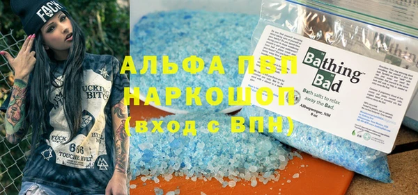 прущие грибы Бородино