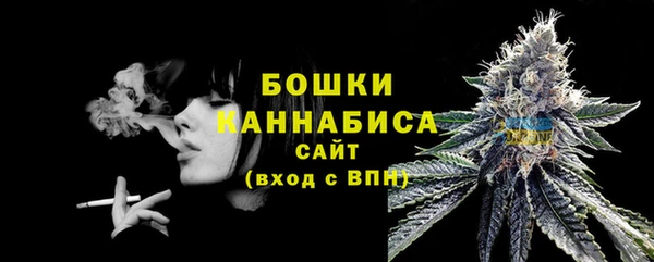 гидра Бугульма