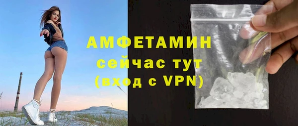 прущие грибы Бородино