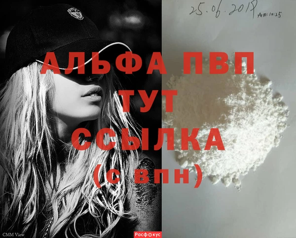 прущие грибы Бородино