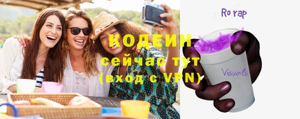 прущие грибы Бородино