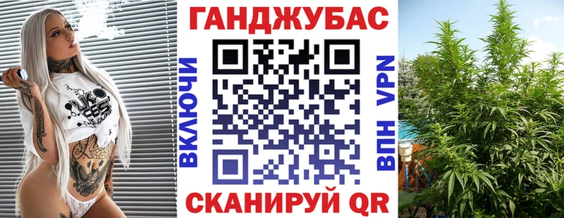 Купить закладки  Сокол  Бошки Шишки сатива 